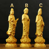 48687544303953|48687544336721|48687544369489